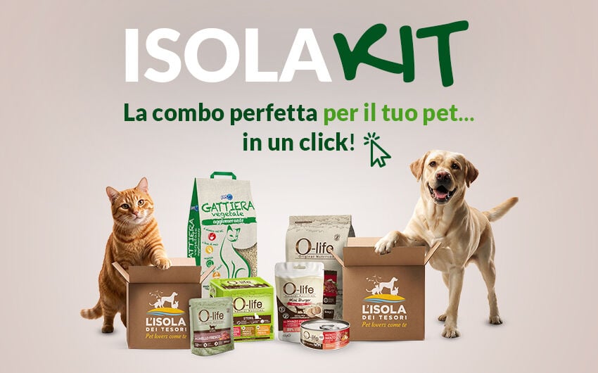 Scopri ora tutti i KIT!