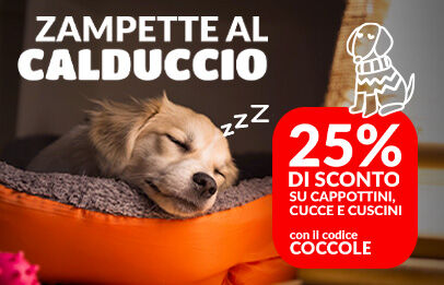 CONTENITORE CIBO CANI/GATTI - Accessori per animali In vendita a Reggio  Emilia