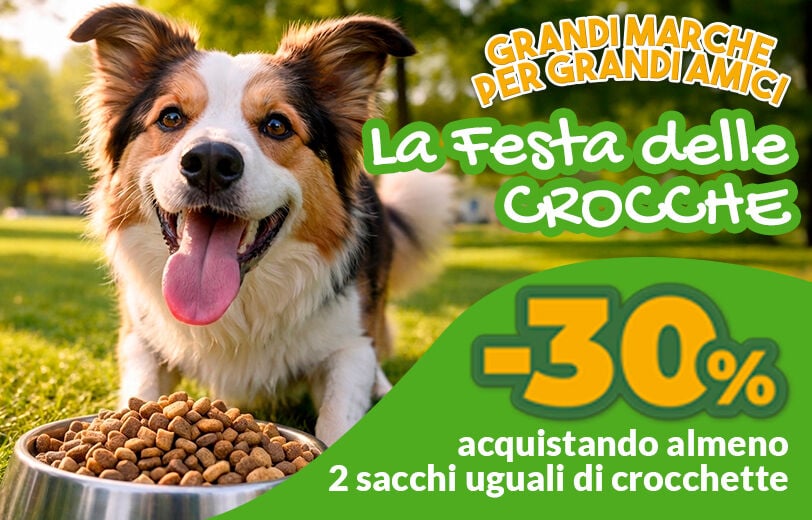 Scopri subito tutte le crocche!