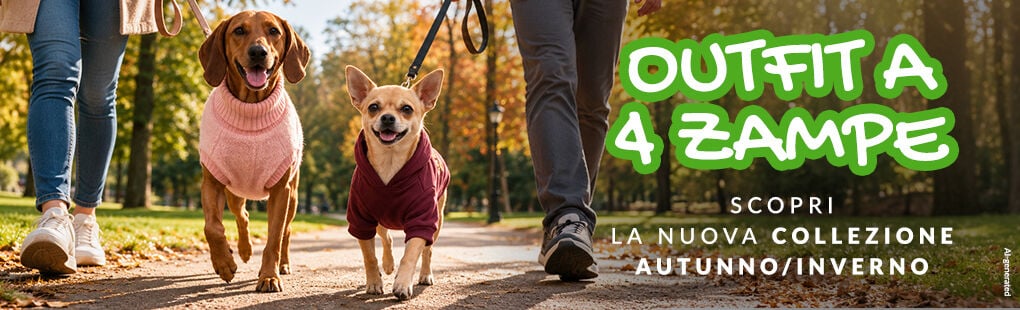 Scopri la nuova collezione autunno/inverno!