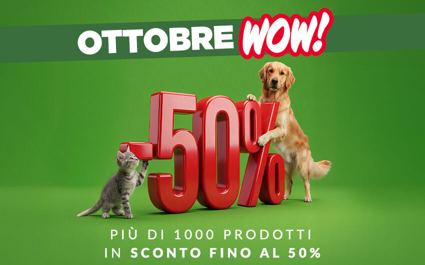 Approfittane subito!
