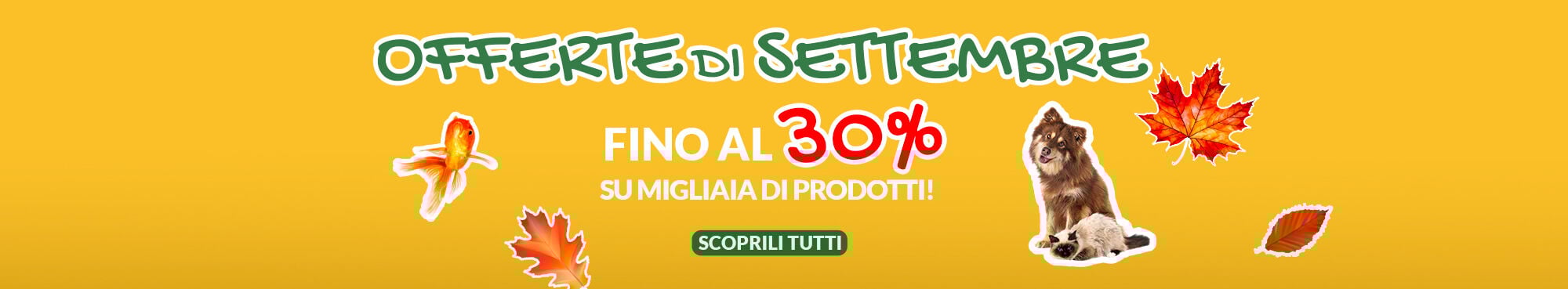 EDIZIONE STRAORDINARIA! MIGLIAIA DI PRODOTTI DELLE MIGLIORI MARCHE IN OFFERTA! APPROFITTANE SUBITO!