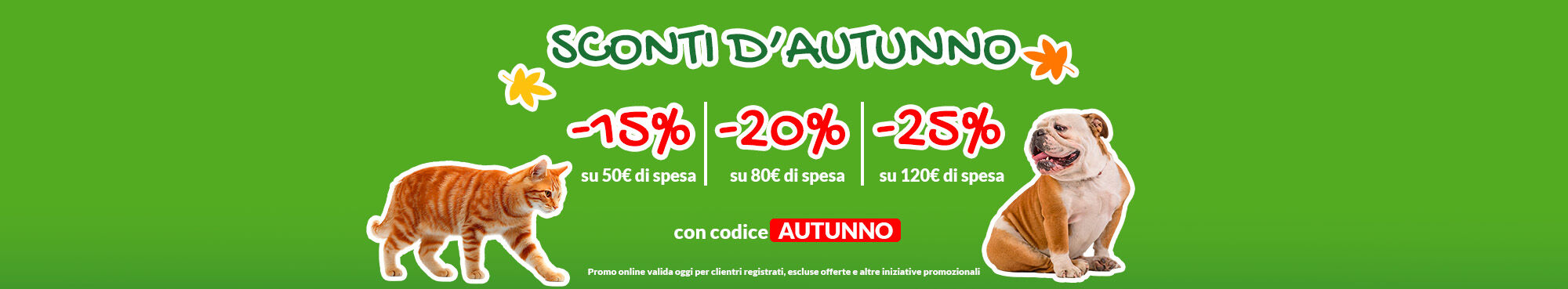 Fino al 25% di sconto con il codice AUTUNNO! Approfittane subito! Promo solo per oggi, per clienti registrati, escluse offerte.