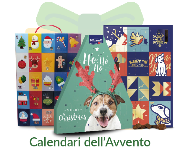 Calendari dell'avvento