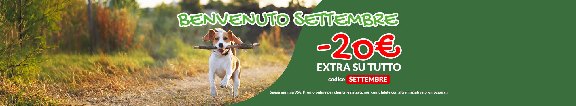 Per te -20&euro; di EXTRA sconto su tutto. Applica il codice SETTEMBRE, &egrave; valido anche sui prodotti gi&agrave; in PROMO! Spesa minima 95&euro;. Solo online per clienti registrati, valida fino al 06/09. Non cumulabile con altre iniziative promozionali.