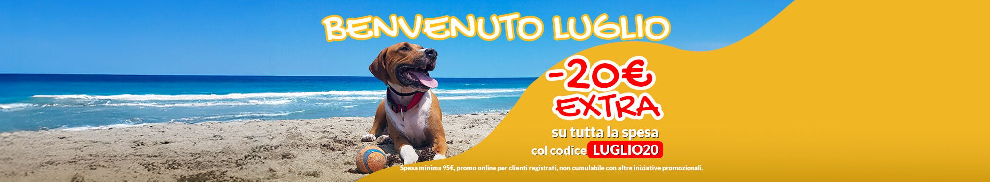 Oggi EXTRA sconto! -20&euro; su tutta la spesa. Applica a carrello il codice LUGLIO20. Valido anche sui prodotti gi&agrave; in offerta! Promo online per clienti registrati fino al 05/07. Non cumulabile con altre iniziative.