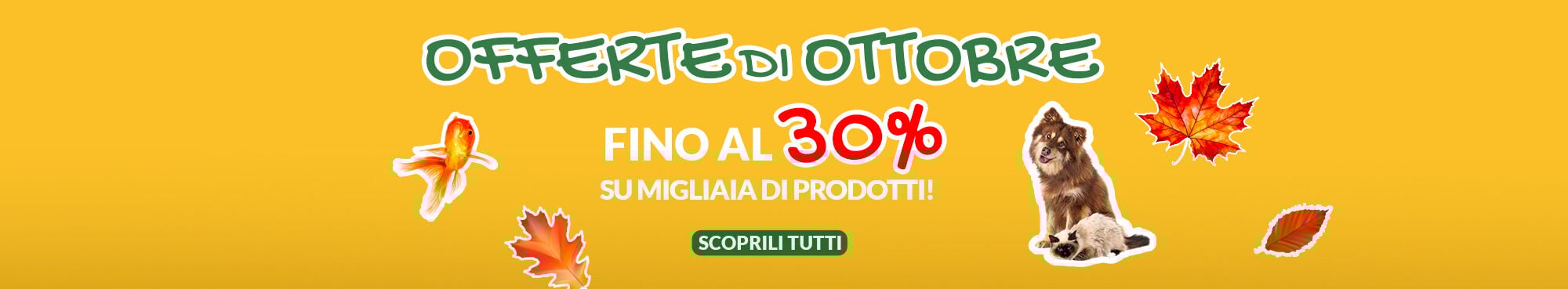 EDIZIONE STRAORDINARIA! MIGLIAIA DI PRODOTTI DELLE MIGLIORI MARCHE IN OFFERTA! APPROFITTANE SUBITO!