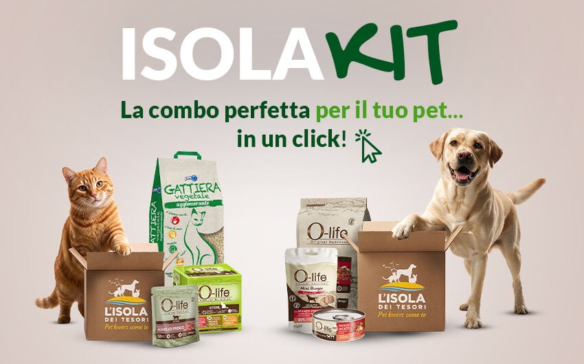 Scopri ora tutti i KIT!