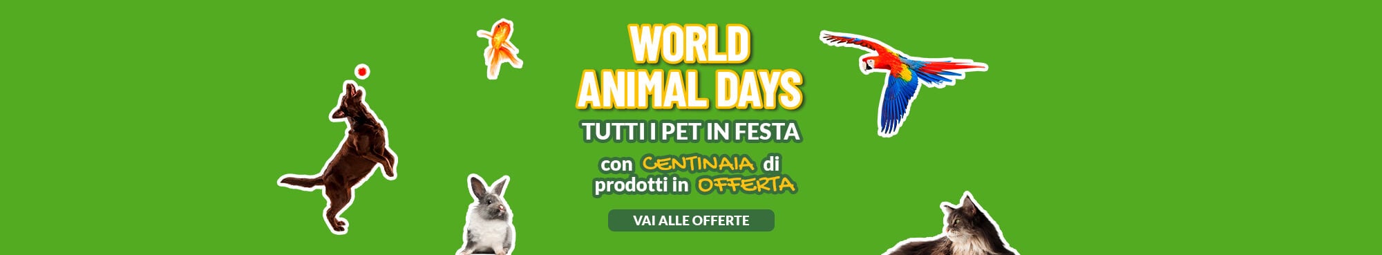 EDIZIONE STRAORDINARIA! MIGLIAIA DI PRODOTTI DELLE MIGLIORI MARCHE IN OFFERTA! APPROFITTANE SUBITO!