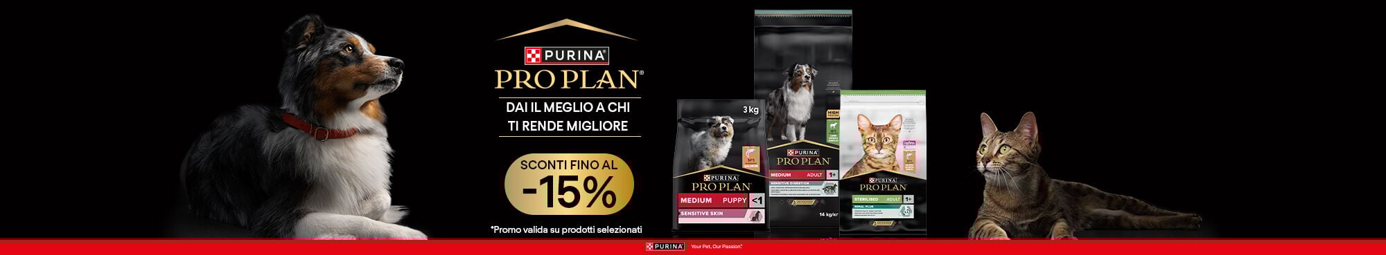 Scopri i prodotti!