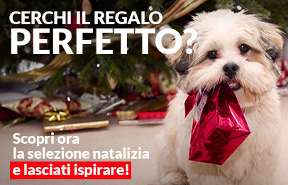 Speciale Natale! Lasciati ispirare dalla collezione Natalizia, scegli il prodotto perfetto per il tuo pet.