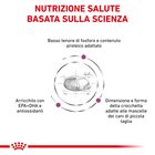 Royal Canin Veterinary Diet Dog Small Renal 500gr