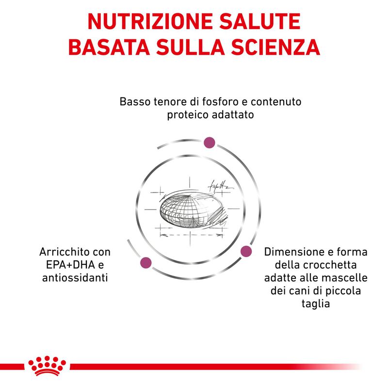 Royal Canin Veterinary Diet Dog Small Renal 500gr