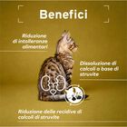 Forza 10 Active Vet Diet Urinary per gatti adulti al Pesce 1,5 kg