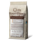 O-life Dog Adult  Medium&Large Adult con Salmone fresco 10 kg