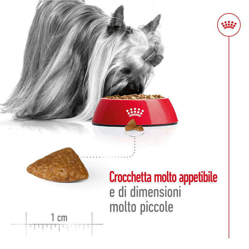 Royal Canin Dog Senior 12+ X-Small 500 gr