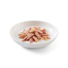 Schesir Cat Tonnetto con Salmone 85 gr