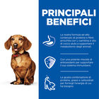Hill's Science Plan Perfect Weight Dog Adult Small & Mini Mousse con tacchino 200gr