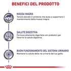 Royal Canin Expert Cat Adult Neutered Maintenance 12x85 gr