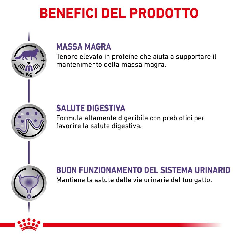 Royal Canin Expert Cat Adult Neutered Maintenance 12x85 gr