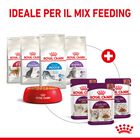 Royal Canin Cat Adult Sensory Taste Salsa 85 gr
