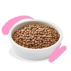 Edgard & Cooper Cat Kitten Anatra e Pollo 2 kg