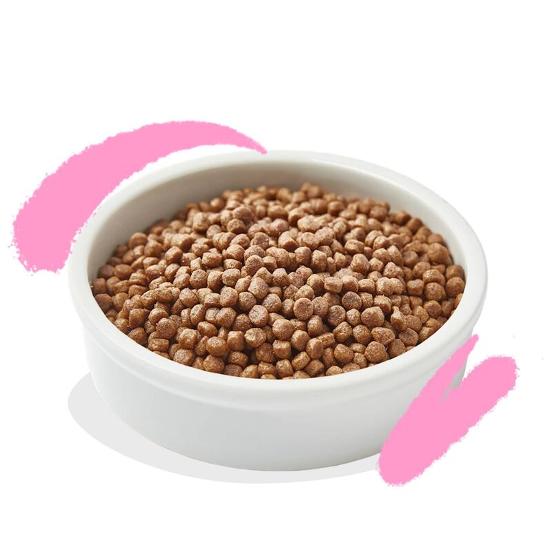 Edgard & Cooper Cat Kitten Anatra e Pollo 2 kg