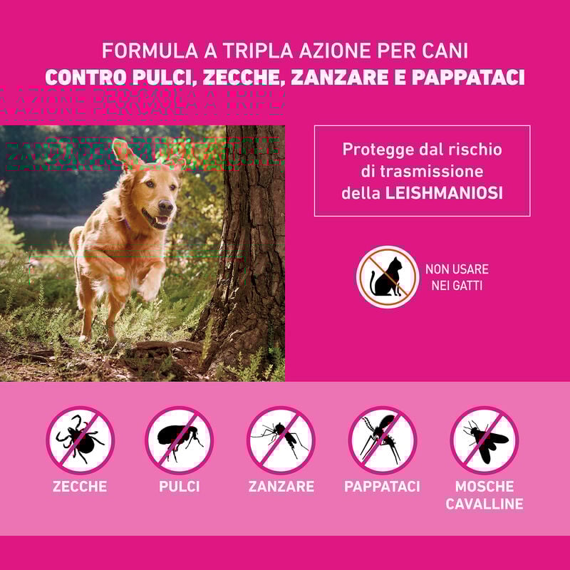 Frontline Tri-act antiparassitario cani 5-10 kg - 6 pipette