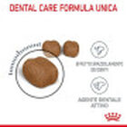 Royal Canin Cat Adult Oral Care 400 gr