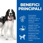 Hill's Science Plan Dog Adult Medium con Agnello e Riso 2,5 kg