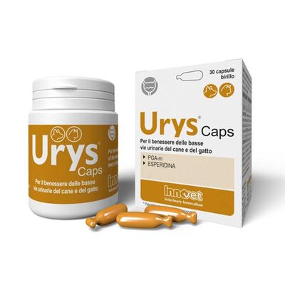 Innovet Urys Caps 30 cps