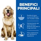 Hill's Science Plan Dog Perfect Weight Large Breed Adult con Pollo 12 kg