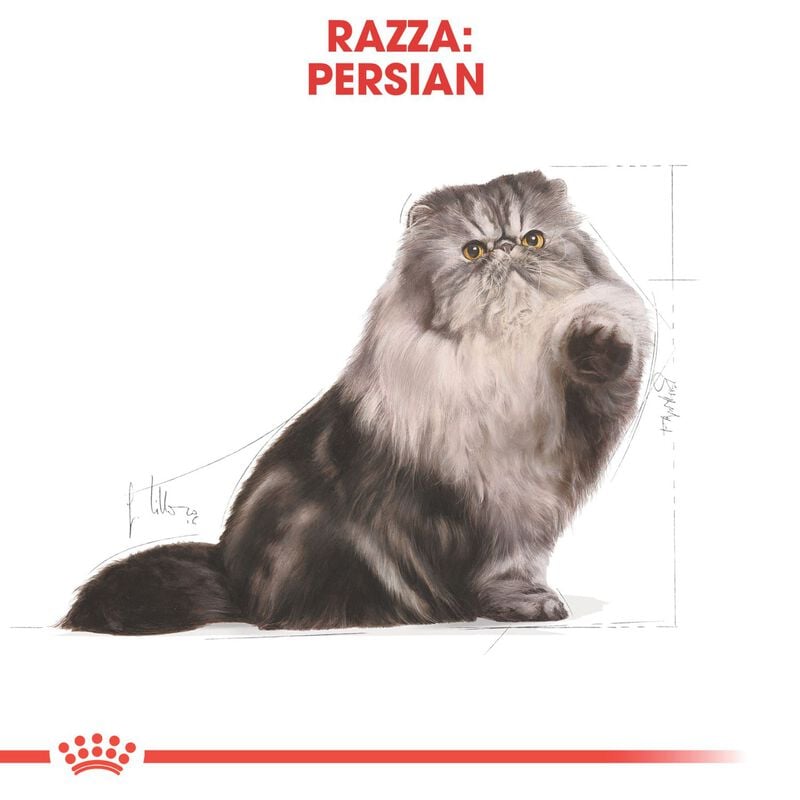 Royal Canin Cat Adult Persian 2 kg