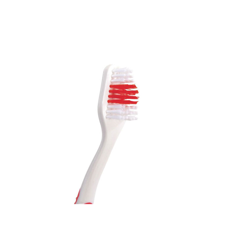 Camon Spazzolino da denti con doppia testina per cani
