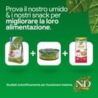 N&D Farmina Prime Cat Adult Cinghiale & Mela 300 gr