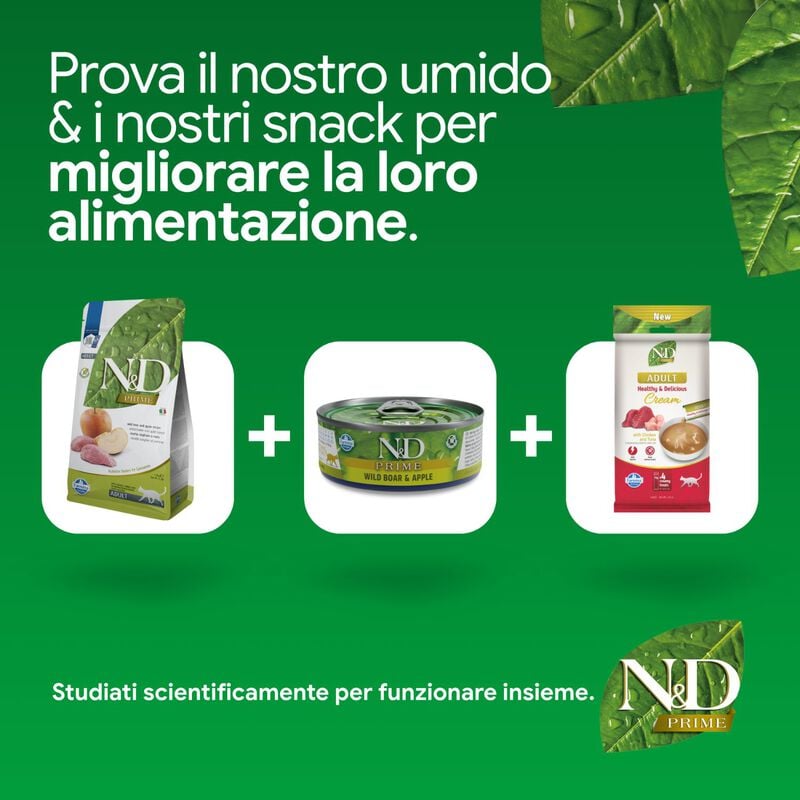 N&D Farmina Prime Cat Adult Cinghiale & Mela 300 gr