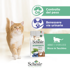 Schesir Natural Selection Cat ricco in tacchino 350 gr