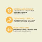 Acana Dog Classics Prairie Poultry con Pollo 2 kg