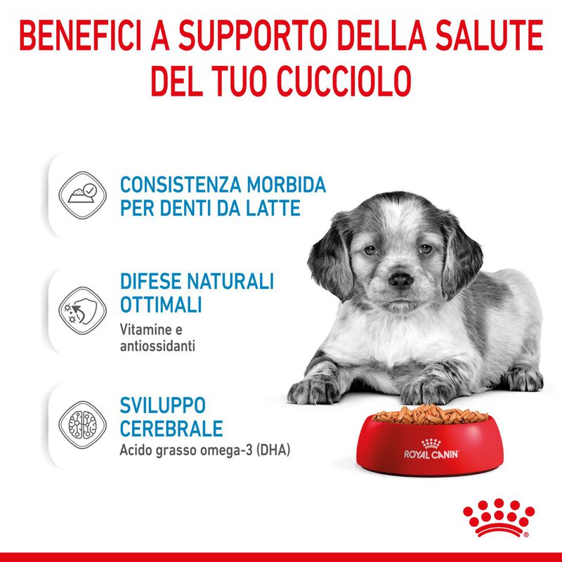 Royal Canin Dog Medium Puppy 140 gr