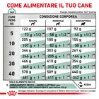 Royal Canin Veterinary Diet Dog Diabetic 1,5 kg