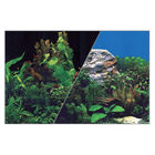 Zolux Sfondo per Acquari Nero/Blu con piante 40x60 cm