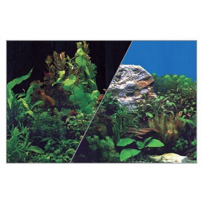 Zolux Sfondo per Acquari Nero/Blu con piante 40x60 cm
