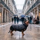 L'Isola dei Tesori Piumino Grace per cani tg 45 Blu
