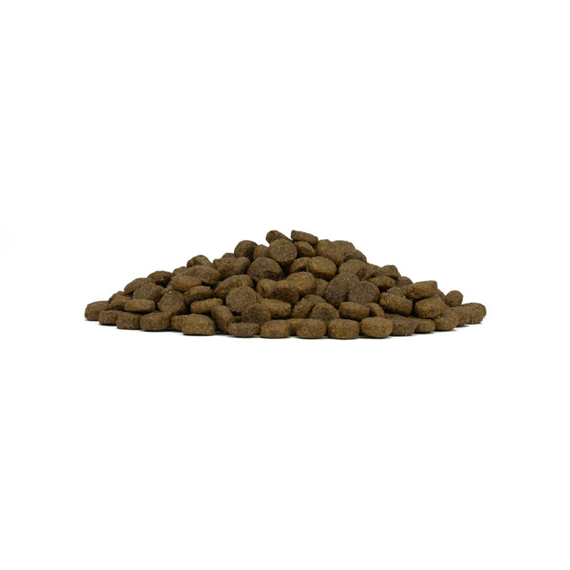Forza10 Dog Mini Adult Cervo e Patate 2 kg