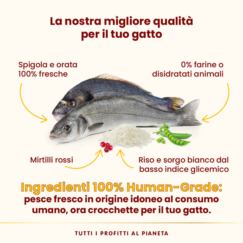 Almo Nature HFC Cat Adult Sterilsed Spigola e orata fresca 1,2kg