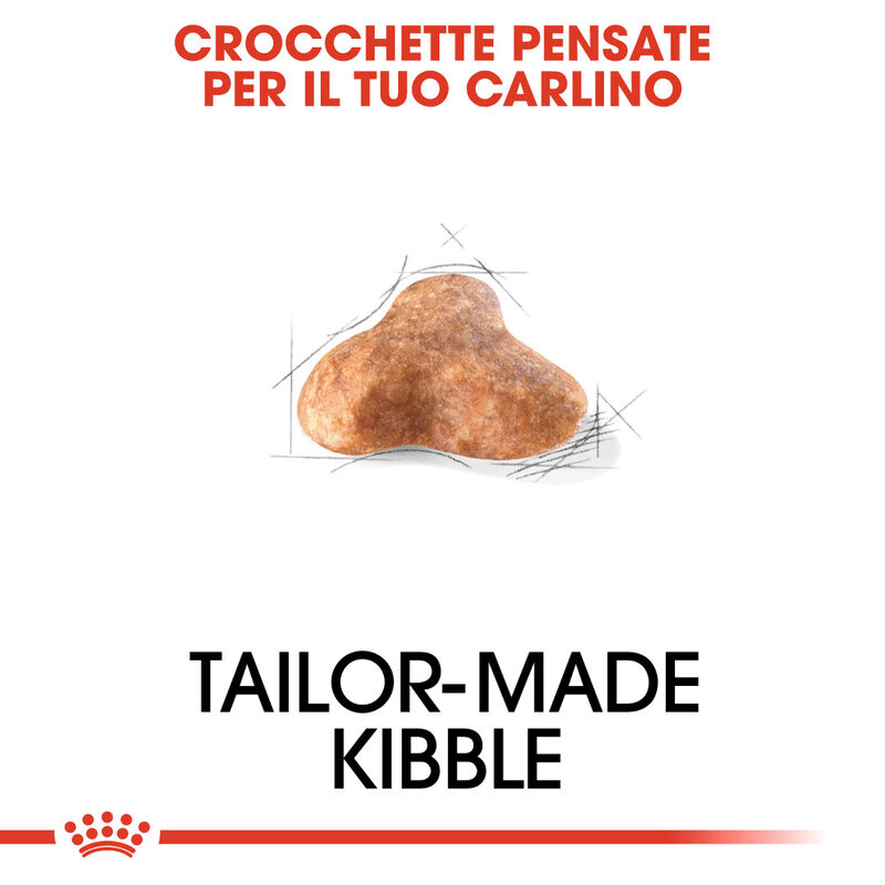Royal Canin Dog Adult e Senior Carlino 1,5 kg