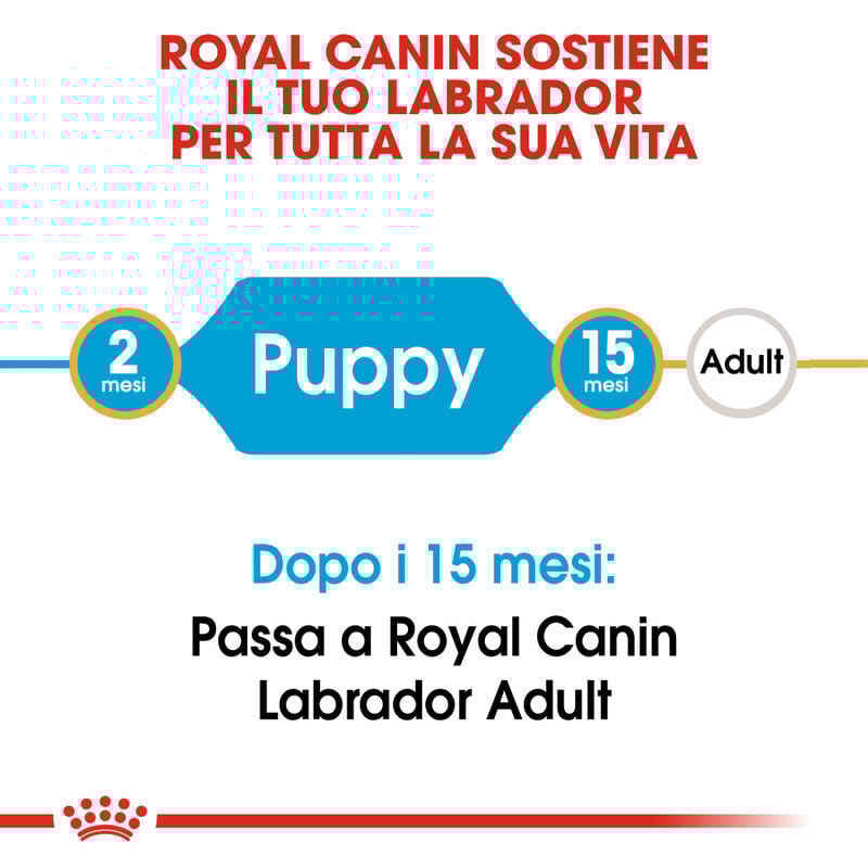 Royal Canin Dog Puppy Labrador Retriver 3 kg