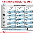 Royal Canin Veterinary Hypoallergenic Dog in Paté 200 gr - Scad. Gennaio 26