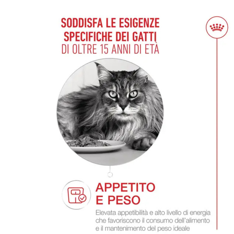 Royal Canin Cat Senior +15 anni 400gr