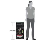 Purina Pro Plan Dog Puppy Medium Sentisitve Digestion Agnello 12 kg